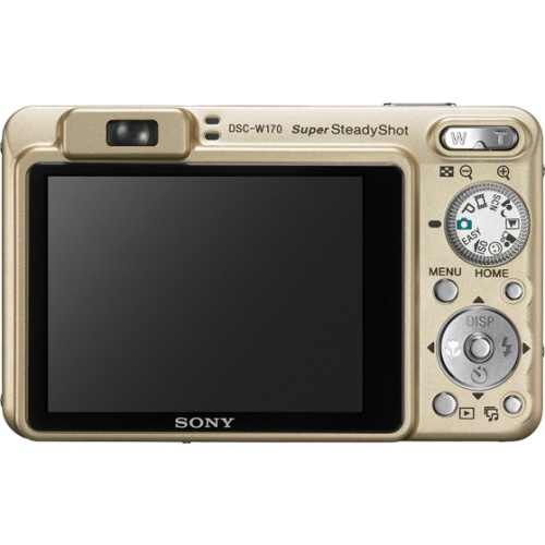 Фото Sony CyberShot DSC-W170 gold
